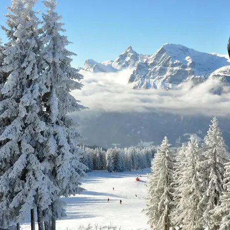 Apartment 4 Pers, Centre Village, 450m Telecabine, Balcon, Casier A Skis, Animaux Acceptes - Fr-1-572-211 Araches-la-Frasse