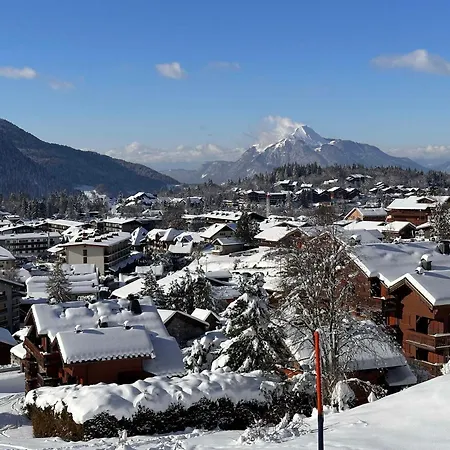 4 Pers, Centre Village, 450m Telecabine, Balcon, Casier A Skis, Animaux Acceptes - Fr-1-572-211 Araches-la-Frasse