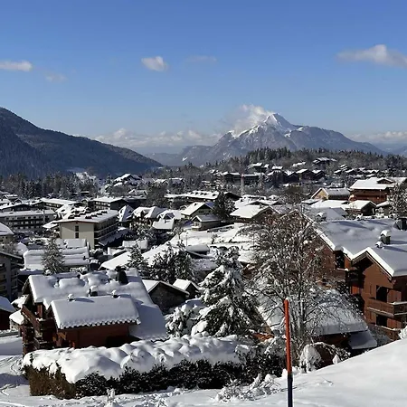 Apartment 4 Pers, Centre Village, 450m Telecabine, Balcon, Casier A Skis, Animaux Acceptes Arâches
