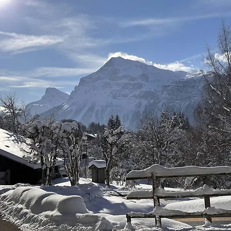 4 Pers, Centre Village, 450m Telecabine, Balcon, Casier A Skis, Animaux Acceptes Arâches